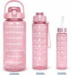 Quick India Mart Classic 3100 ml Water Bottles (Set of 3, Pink)
